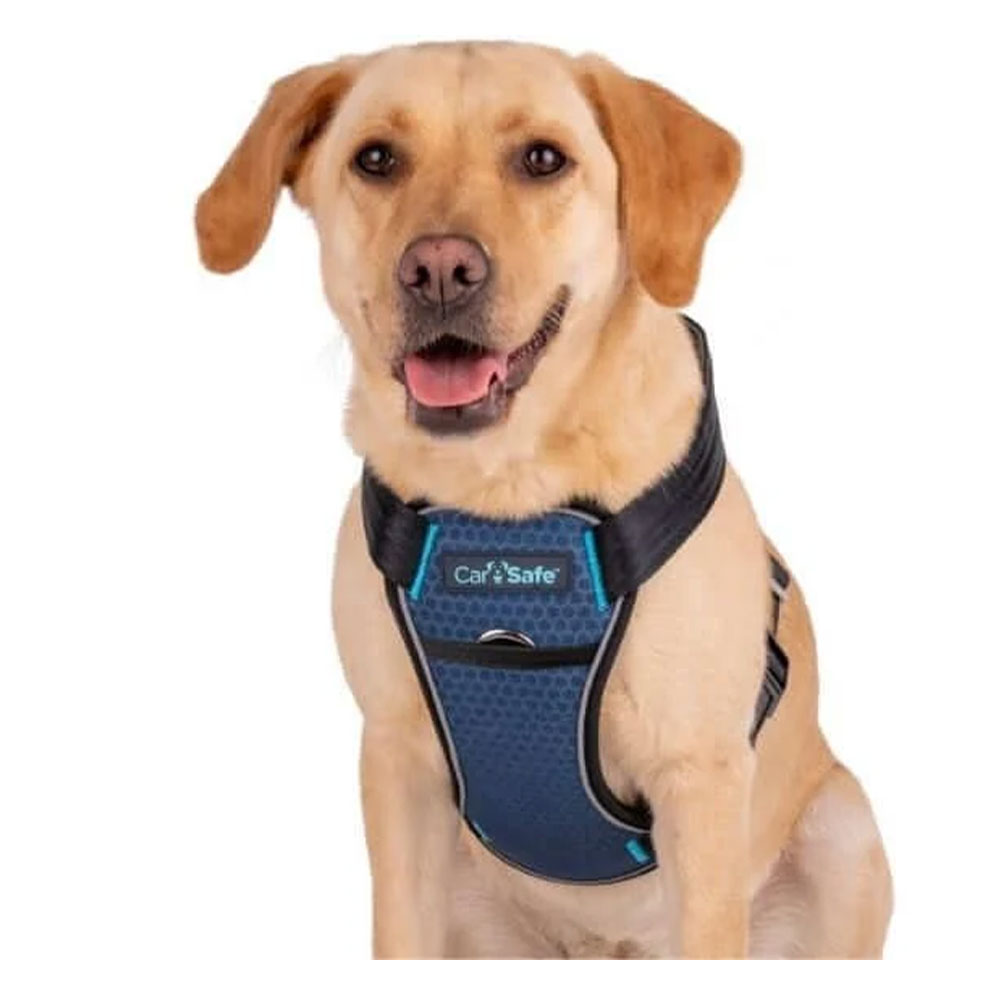 Carsafe Crash Tested Harness For Dogs Blue X-Small