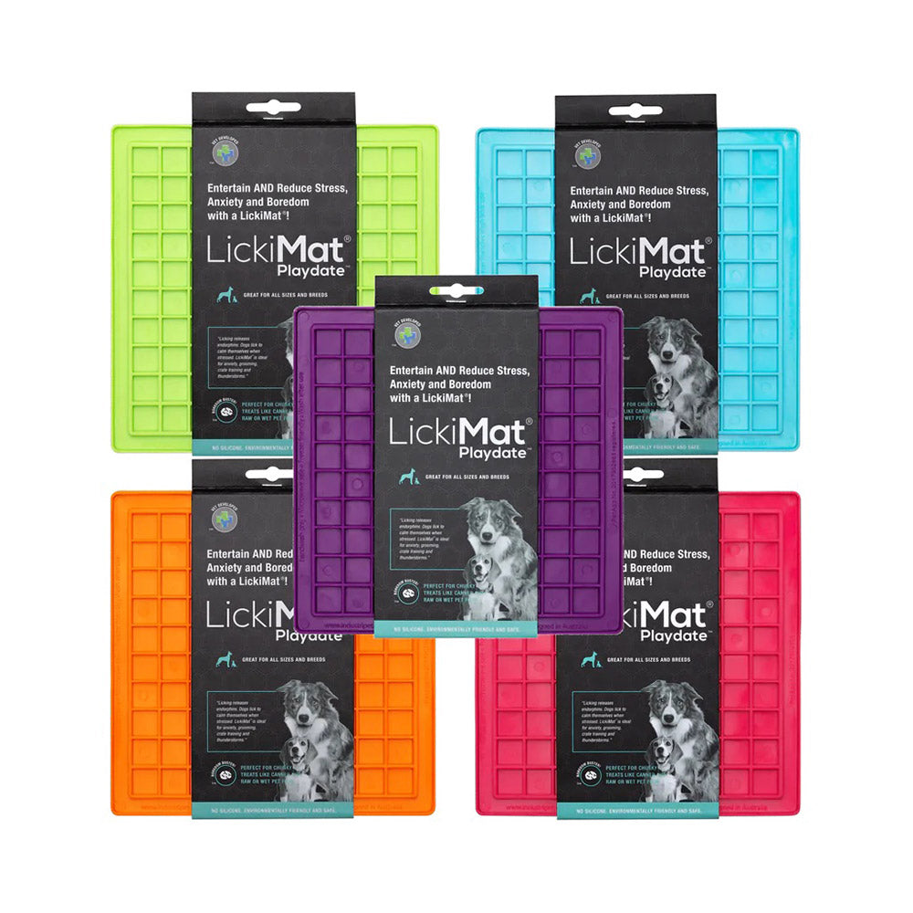 Lickimat Classic Playdate Dog Turquoise