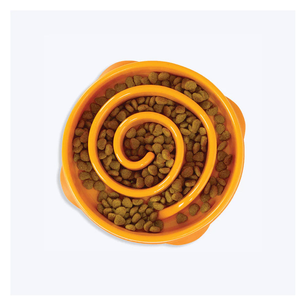 Outward Hound Fun Feeder Slo Bowl For Dogs - Teal