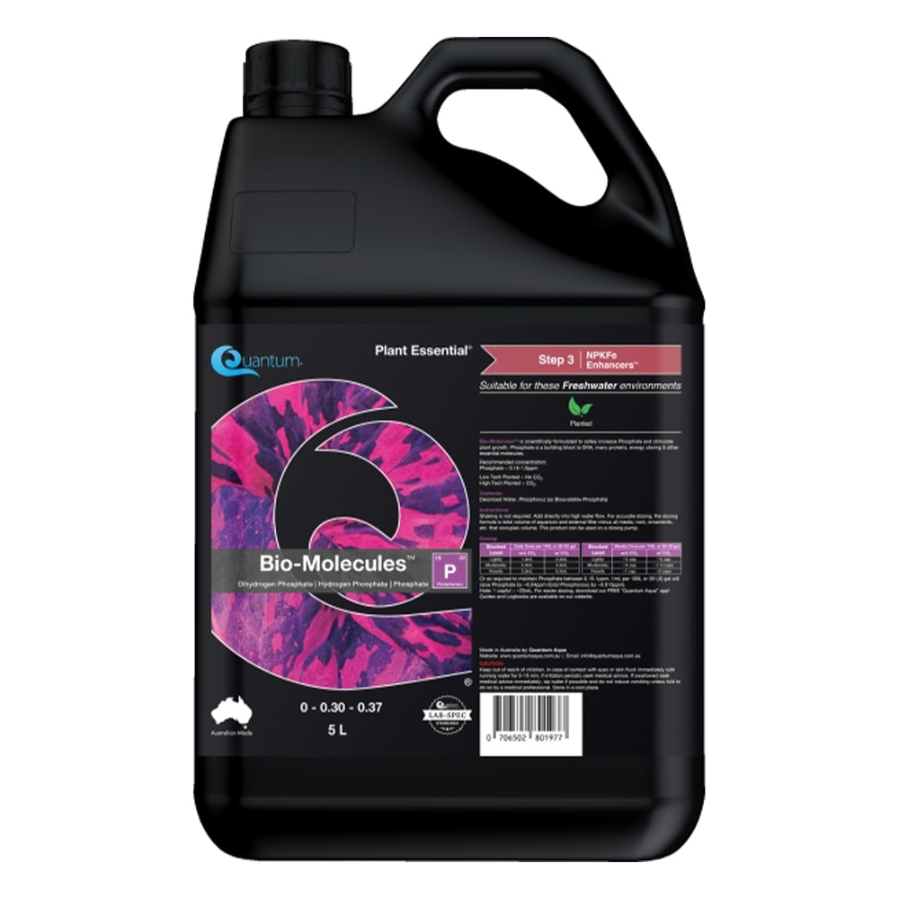 Quantum Bio-Molecules