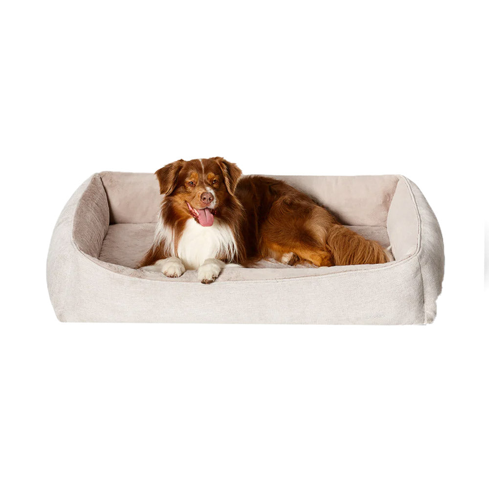 Snooza Ortho Snuggler Bed For Dogs Chinchilla
