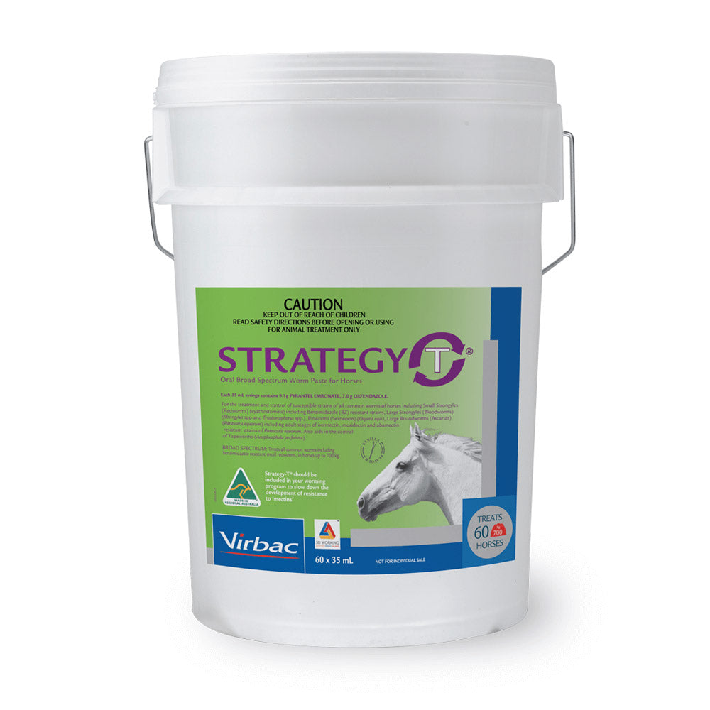 STRATEGY-T Paste 60 Pack Bucket