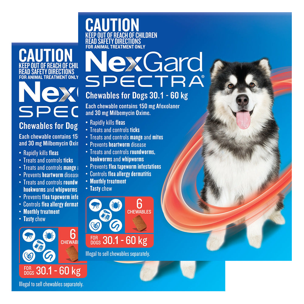 Nexgard Spectra Extra Large Dogs (30.1 - 60kg) Red