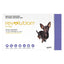Revolution (Selamectin) For Very Small Dogs 2.6 To 5Kg (Purple)