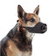 Beau Pets Adjustable Nylon Muzzle - Black X Large