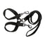 Beau Pets Double Nylon - Brace Lead