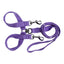 Beau Pets Double Nylon - Brace Lead