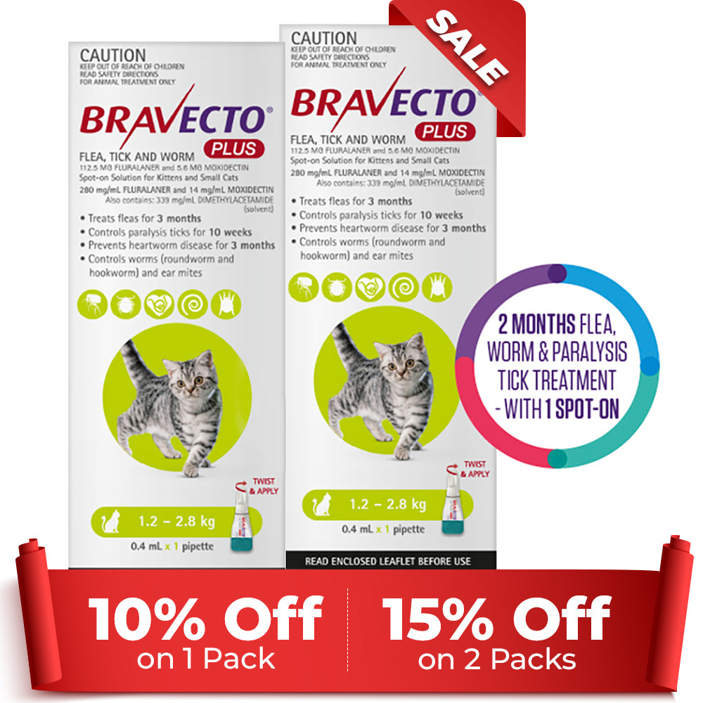 Bravecto Plus for Small Cats 1.2 – 2.8 kg (Green)