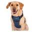 Carsafe Crash Tested Harness For Dogs Blue