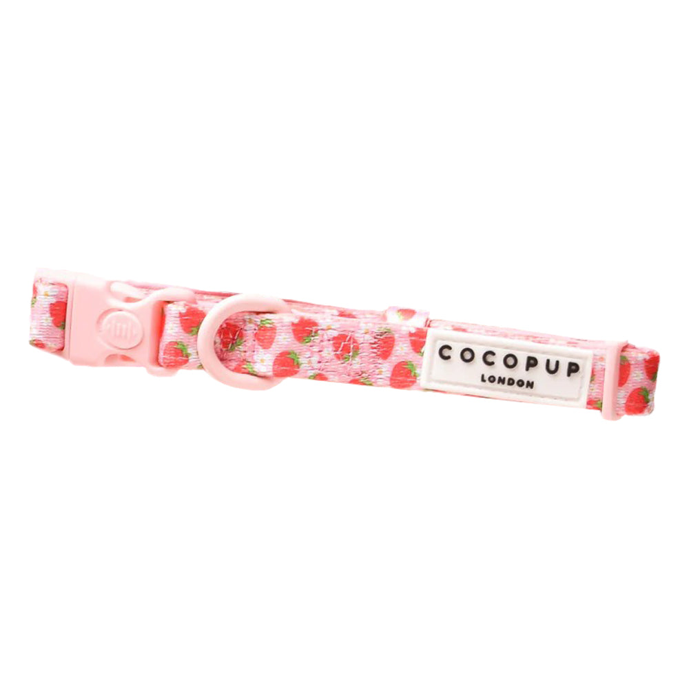 Cocopup London Collar For Dogs
