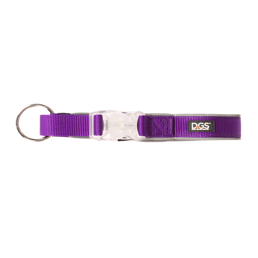 Dgs Comet Led Safety Collar (Purple)