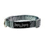 Dan & Sam Adjustable Polyester Webbing Collar For Dogs