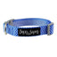 Dan & Sam Adjustable Polyester Webbing Collar For Dogs
