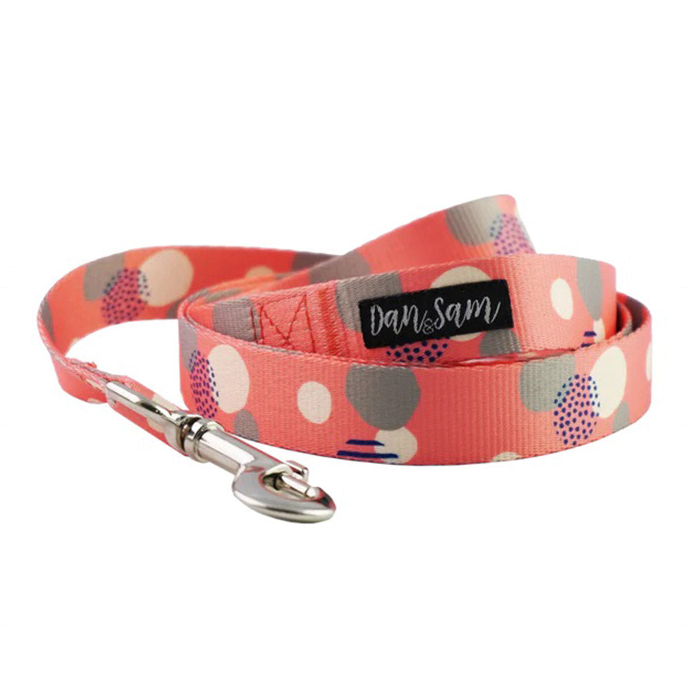 Dan & Sam Polyester Webbing Lead For Dogs