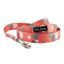 Dan & Sam Polyester Webbing Lead For Dogs