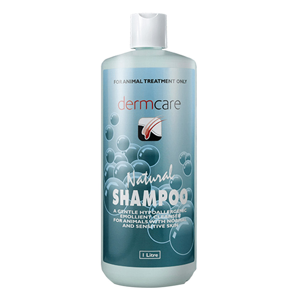 Dermcare Natural Shampoo