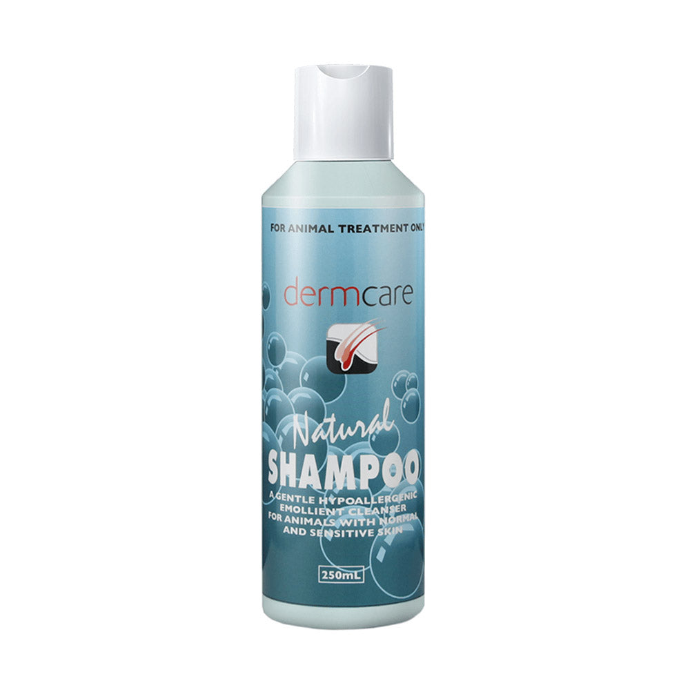 Dermcare Natural Shampoo