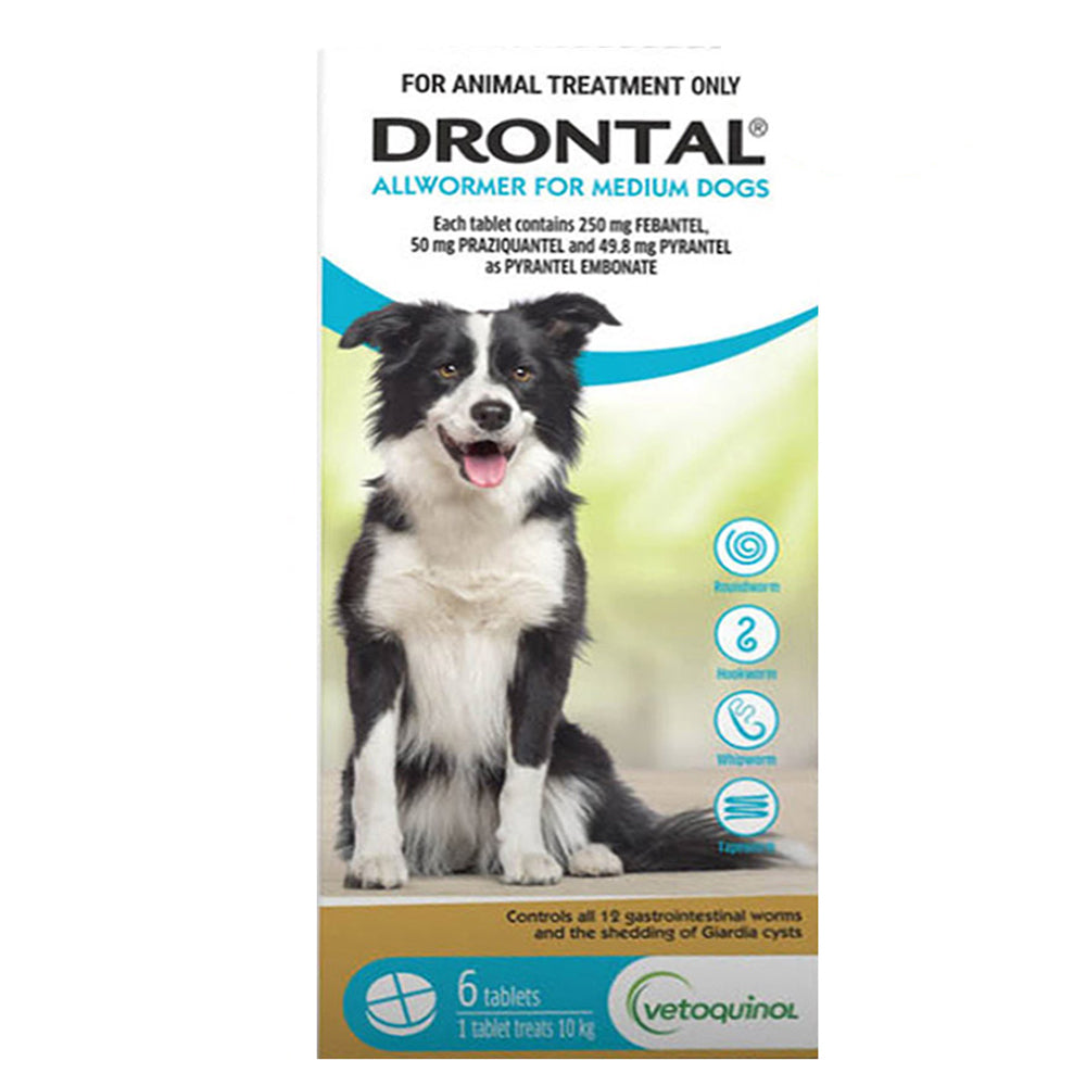 Drontal Wormers Tabs For Dogs 10Kg (Aqua)
