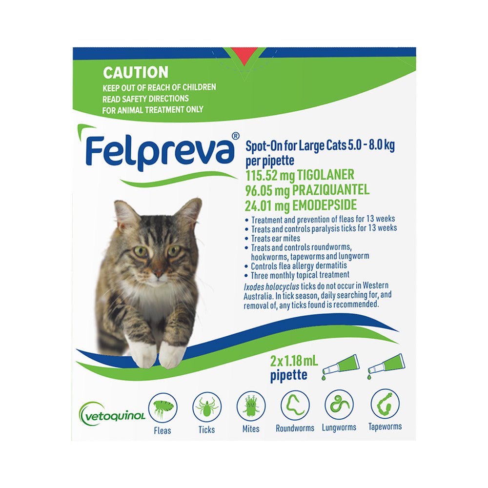 Felpreva Spot-On for Large Cats 5 to 8kg