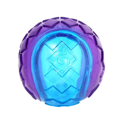 Gigwi Original Squeaker Ball Toy For Dogs