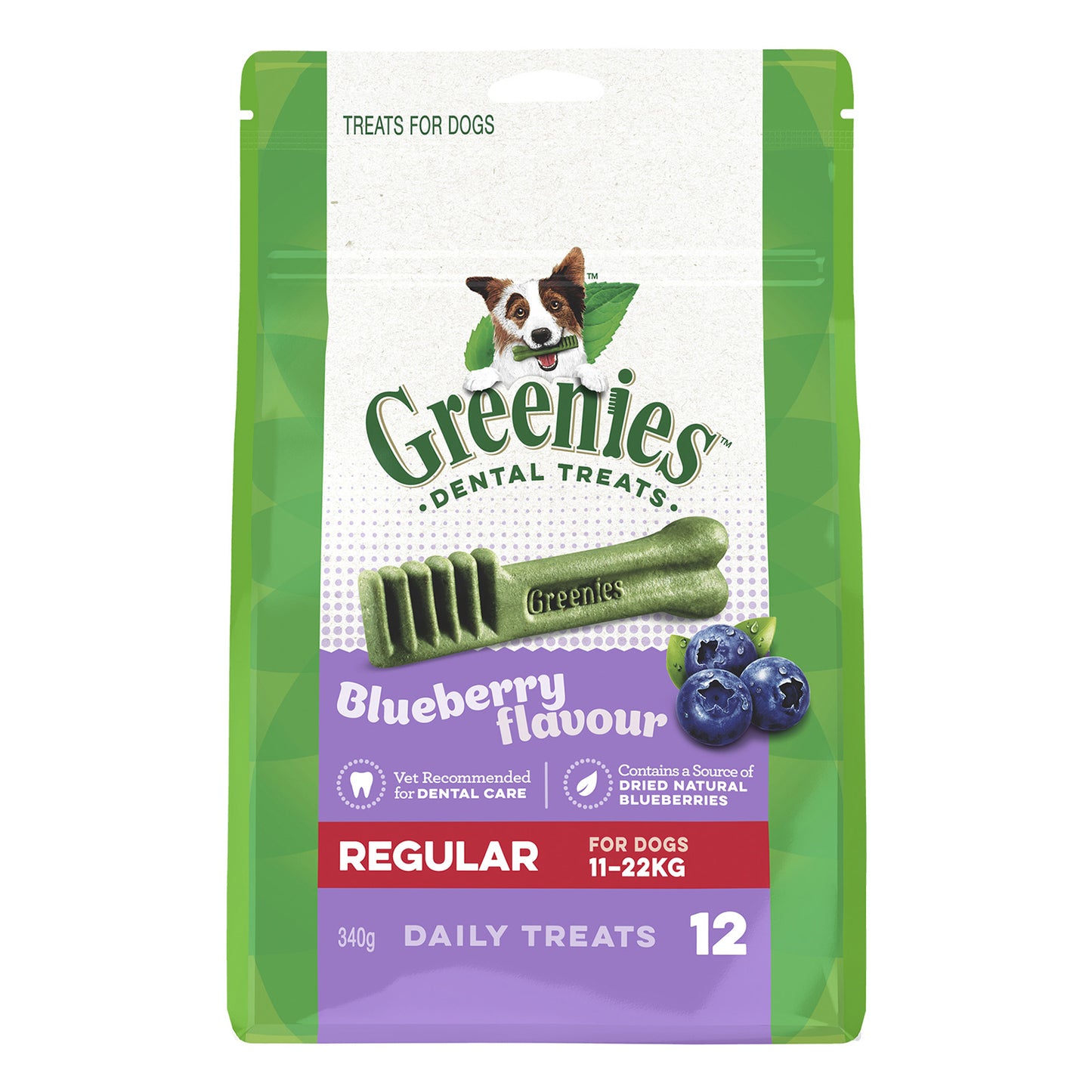 Greenies Blueberry Flavour Dental Dog Treats