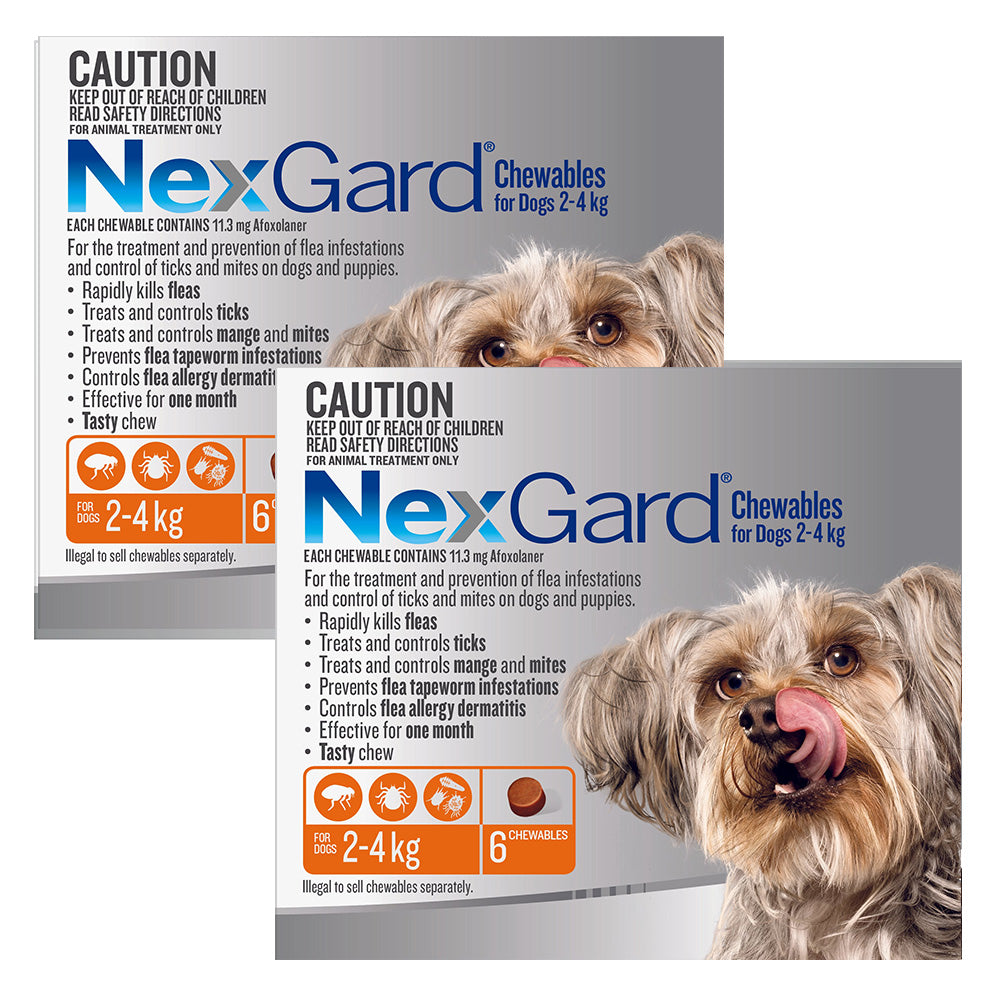 Nexgard Chewables For Very Small Dogs (2 - 4 Kg) Orange