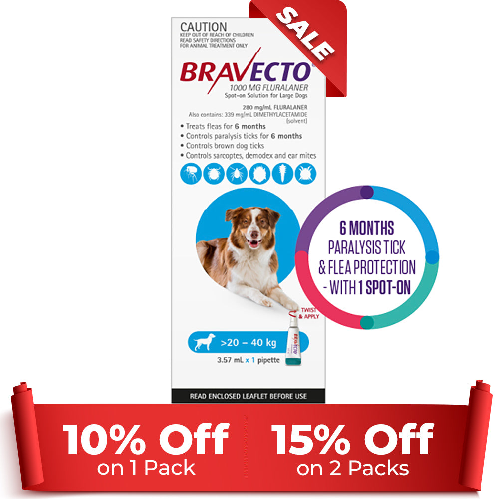 Bravecto Spot On for Large Dogs (20 - 40 kg) Aqua