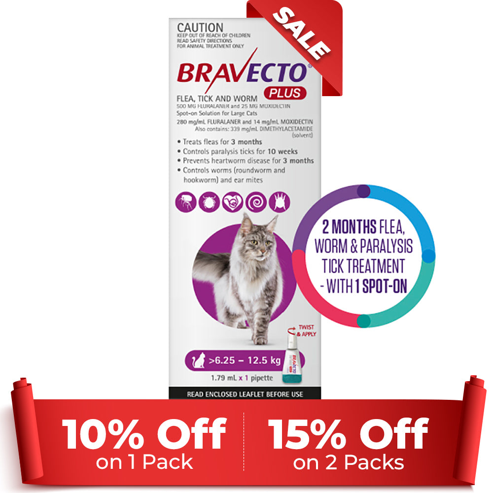 Bravecto Plus for Large Cats 6.25 – 12.5 kg (Purple)