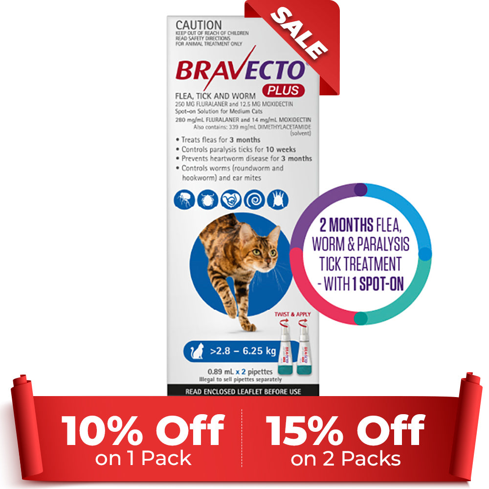 Bravecto Plus for Medium Cats 2.8 – 6.25 kg (Blue)