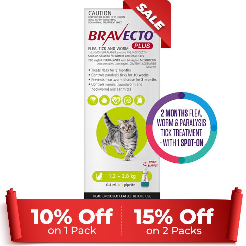 Bravecto Plus for Small Cats 1.2 – 2.8 kg (Green)