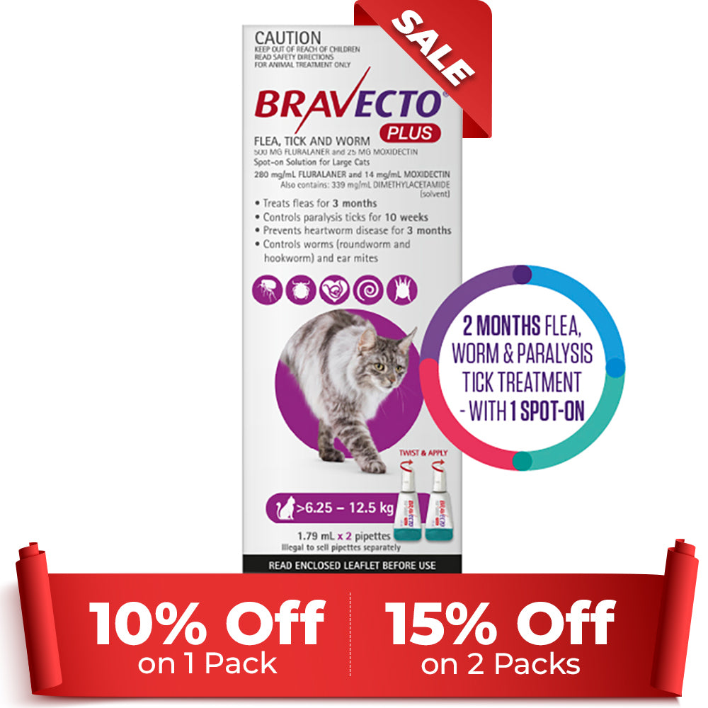 Bravecto Plus for Large Cats 6.25 – 12.5 kg (Purple)