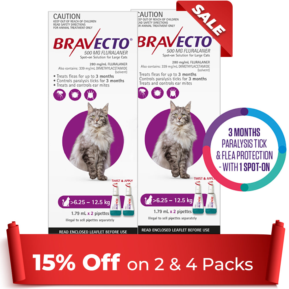Bravecto Spot On For Large Cats (6.25 - 12.5 kg) Purple