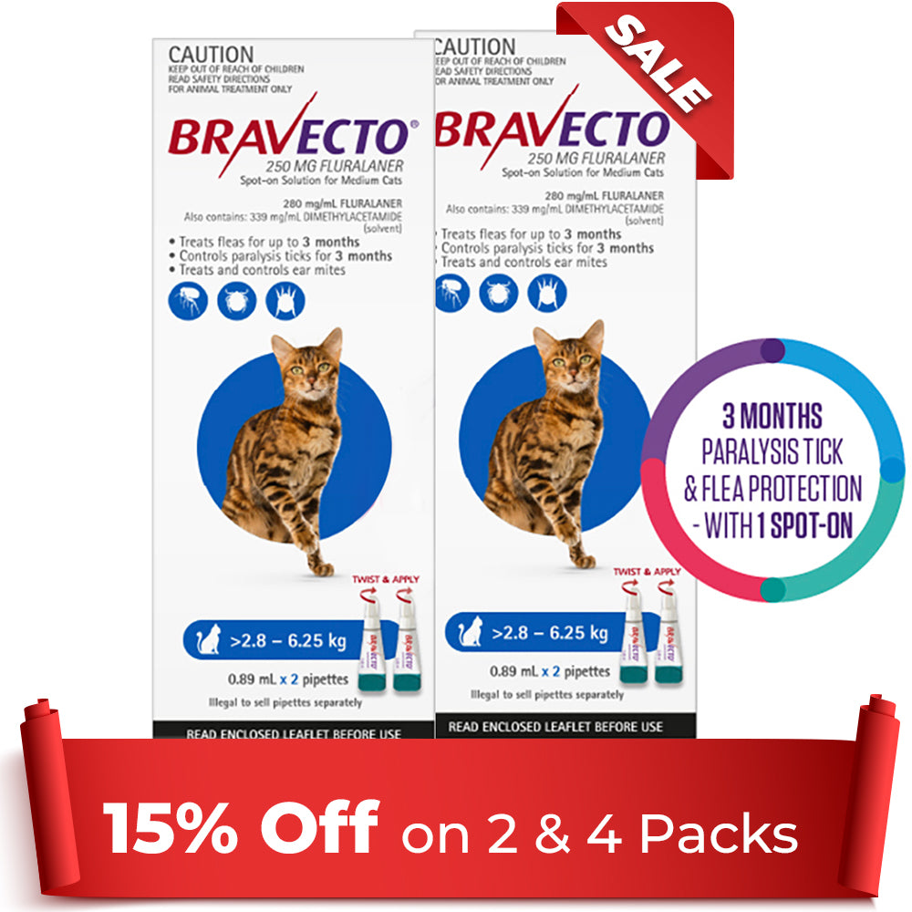 Bravecto Spot On For Medium Cats (2.8 - 6.25 kg) Blue
