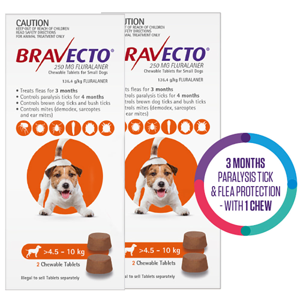 Bravecto For Small Dogs 4.5-10Kg (Orange)