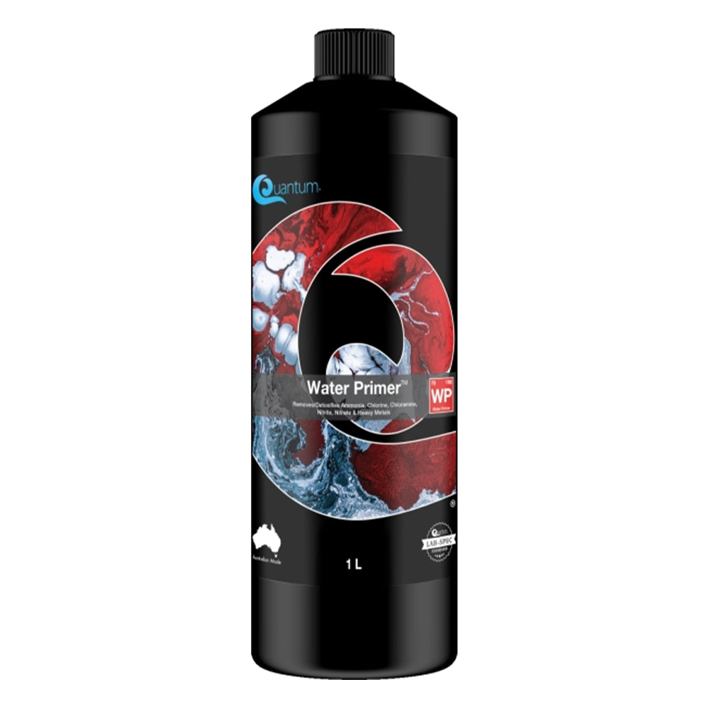 Quantum Water Primer