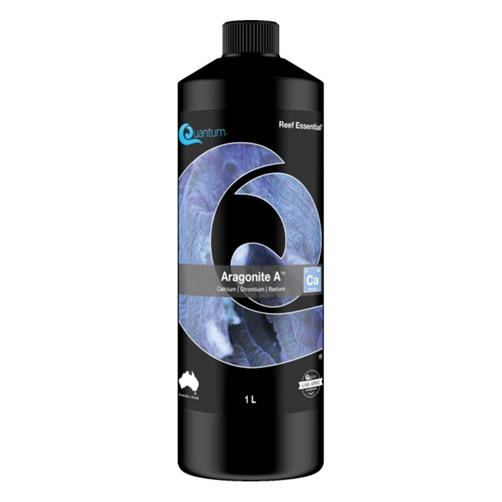Quantum Aragonite A