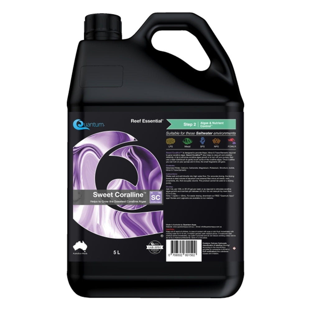 Quantum Sweet Coralline