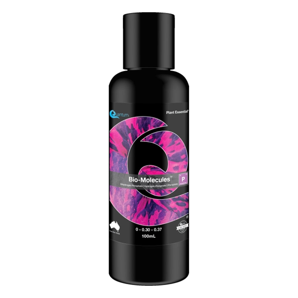 Quantum Bio-Molecules