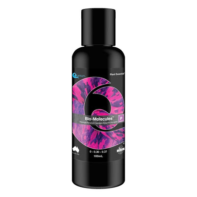 Quantum Bio-Molecules