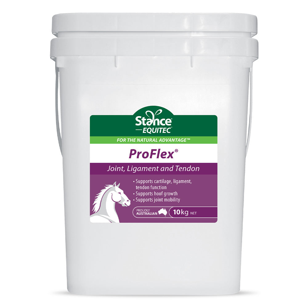 Stance Equitec Proflex for Horses