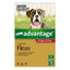 Advantage For Large Dogs 10 To 25Kg (Red)