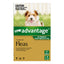 Advantage For Small Dogs Up To 4Kg (Green)
