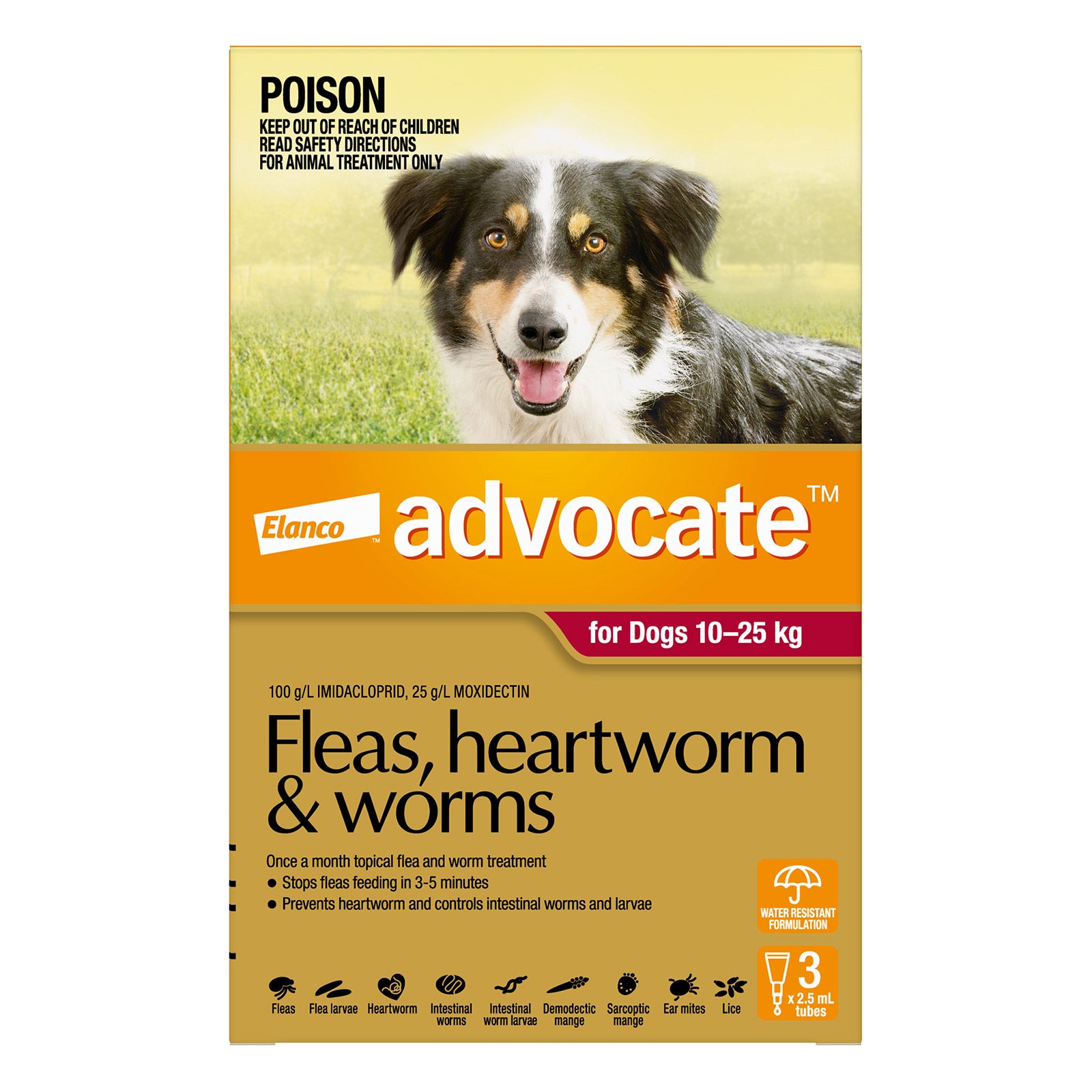 Advocate For Dogs 10 to 25 Kg (Large Dogs) Red