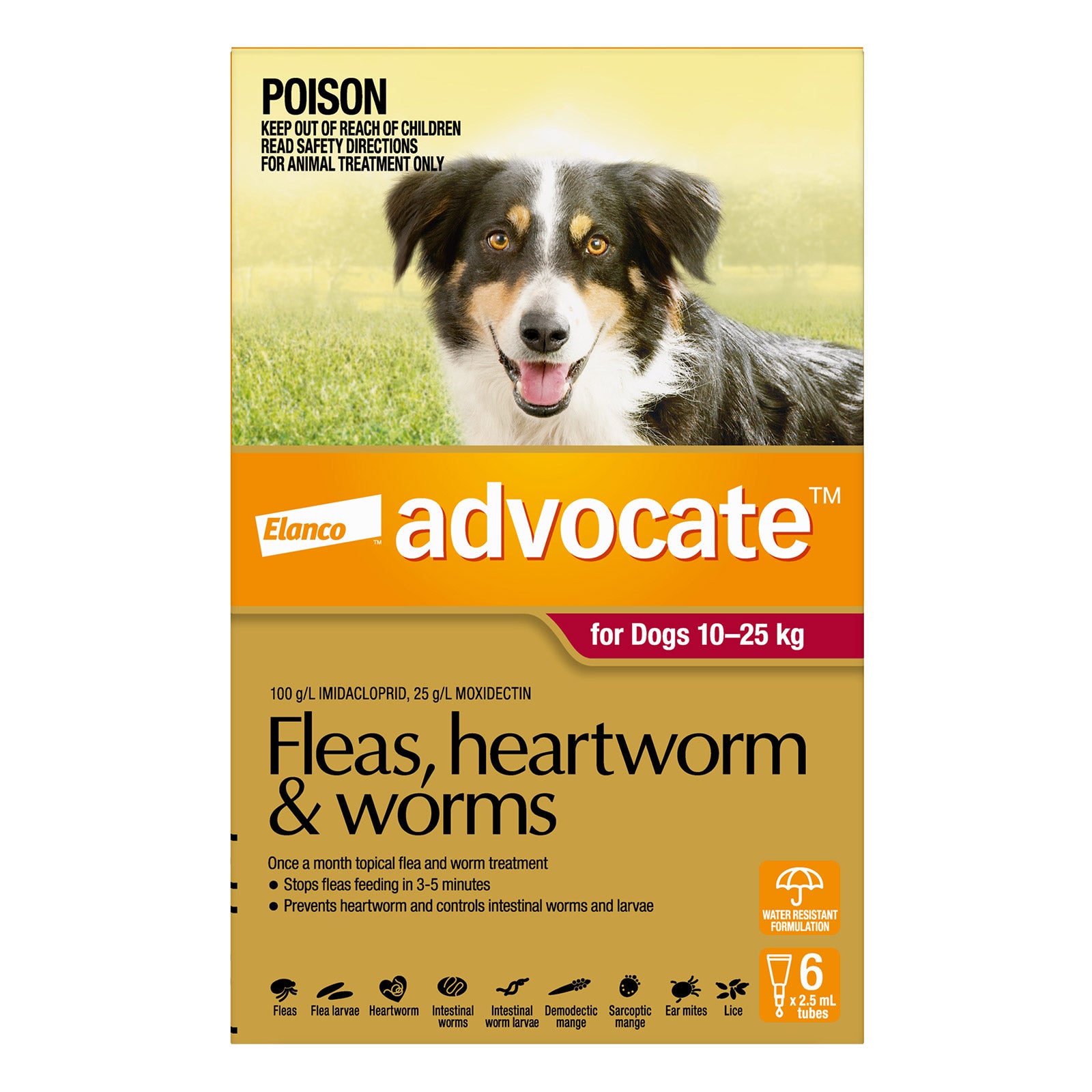 Advocate For Dogs 10 to 25 Kg (Large Dogs) Red