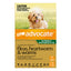 Advocate For Dogs up to 4 kg (Small Dogs/Pups) Green