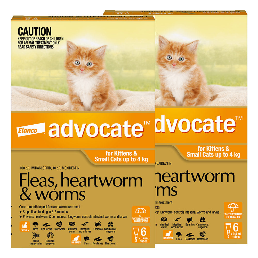 Advocate For Kittens & Small Cats Up To 4Kg (Orange)