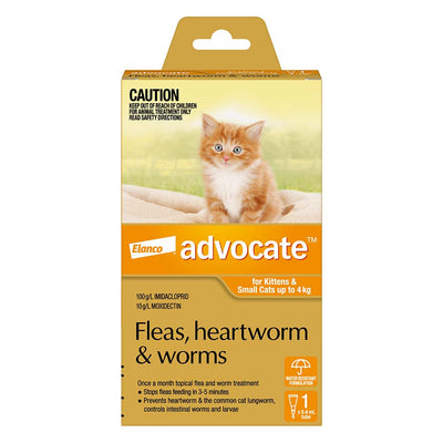 Advocate For Kittens & Small Cats Up To 4Kg (Orange)
