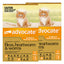 Advocate For Kittens & Small Cats Up To 4Kg (Orange)