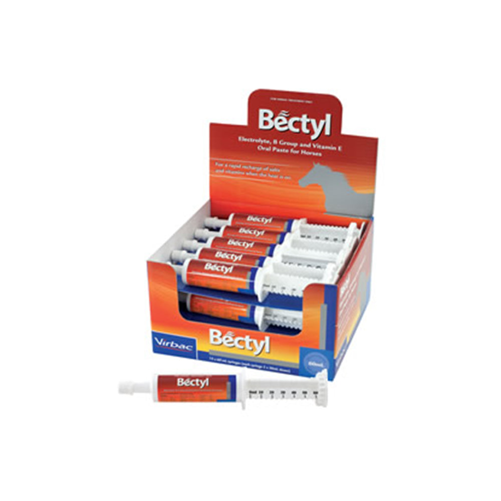 Bectyl Electrolyte B Group And Vitamin E Oral Paste for Horses