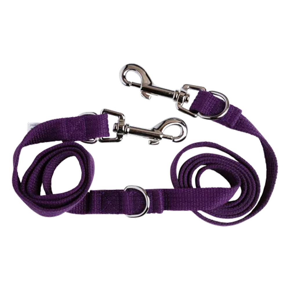 Beau Pets Adjustable Webbing Lead